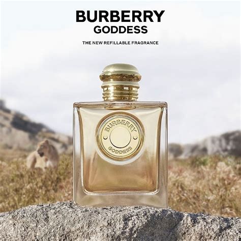 new burberry peefume|Burberry goddess scent.